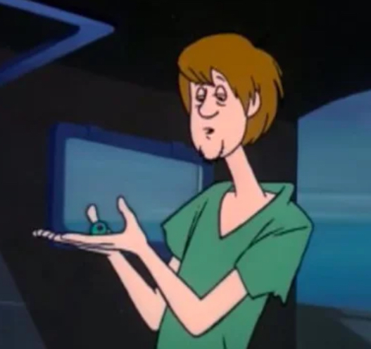 shaggy