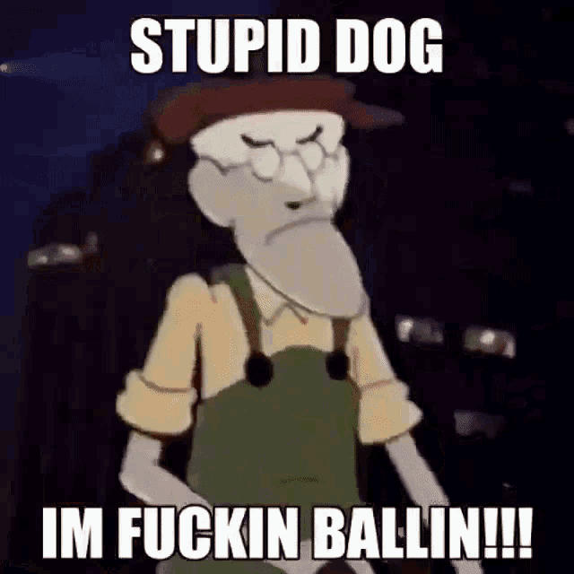 stupid dog